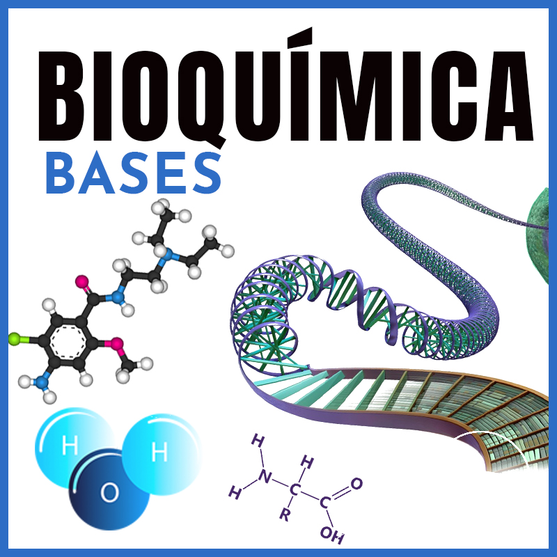 Bioquímica | Bases | Dr. Shahroj